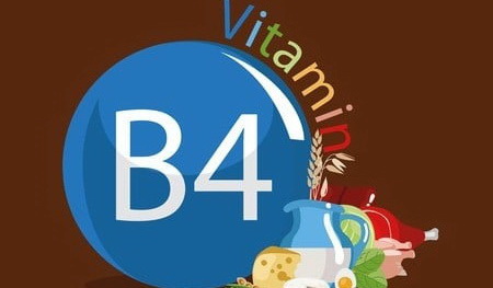 choline